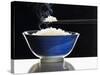A Bowl of Steaming Rice-Peter Rees-Stretched Canvas