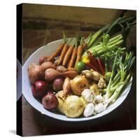 A Bowl of Vegetables, Citrus Fruits and Spices-Tara Fisher-Stretched Canvas