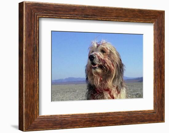 A Boy and His Dog-null-Framed Photo