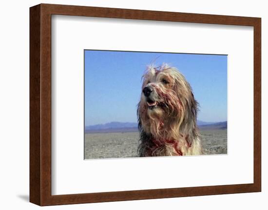 A Boy and His Dog-null-Framed Photo