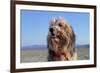 A Boy and His Dog-null-Framed Photo