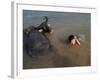 A Boy Bathes with His Water Buffalo in the Mekong River, Near Kratie, Eastern Cambodia, Indochina-Andrew Mcconnell-Framed Photographic Print