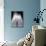 A Boy Crosses Over a Fountain-null-Mounted Photographic Print displayed on a wall