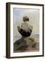 A Boy Crouching on a Rock-Albert Edelfelt-Framed Giclee Print