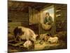 A Boy Looking into a Pig Sty, 1794-George Morland-Mounted Giclee Print