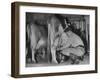 A Boy Milking a Cow-null-Framed Photographic Print