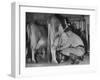 A Boy Milking a Cow-null-Framed Photographic Print