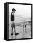 A Boy Throws Stones into the Sea for His Dog to Retrieve: the Dog Looks Up Expectantly-Henry Grant-Framed Stretched Canvas