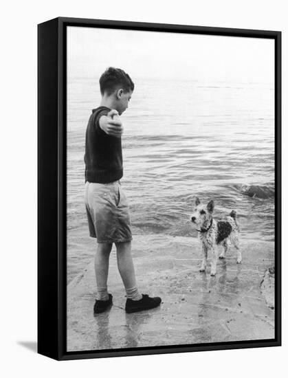 A Boy Throws Stones into the Sea for His Dog to Retrieve: the Dog Looks Up Expectantly-Henry Grant-Framed Stretched Canvas