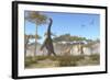A Brachiosaurus Herd Grazing on Treetops-Stocktrek Images-Framed Art Print