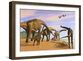 A Brachiosaurus Herd Walks Down a Wet Sandy Beach-null-Framed Art Print