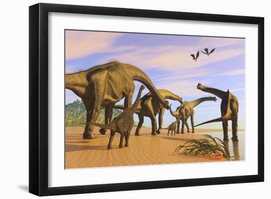 A Brachiosaurus Herd Walks Down a Wet Sandy Beach-null-Framed Art Print