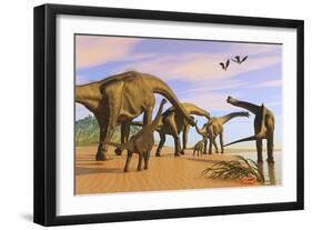 A Brachiosaurus Herd Walks Down a Wet Sandy Beach-null-Framed Art Print