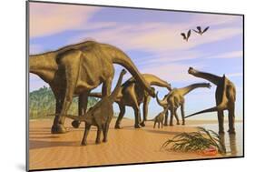 A Brachiosaurus Herd Walks Down a Wet Sandy Beach-null-Mounted Art Print