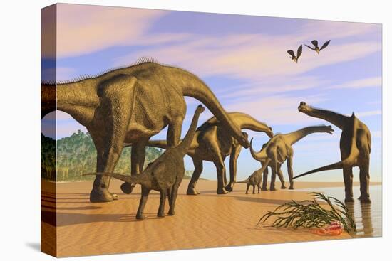 A Brachiosaurus Herd Walks Down a Wet Sandy Beach-null-Stretched Canvas