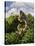 A Brachiosaurus with Young Above the Treetops, Surrounded by Pterodactyls-null-Stretched Canvas