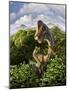 A Brachiosaurus with Young Above the Treetops, Surrounded by Pterodactyls-null-Mounted Art Print