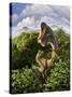 A Brachiosaurus with Young Above the Treetops, Surrounded by Pterodactyls-null-Stretched Canvas