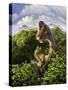 A Brachiosaurus with Young Above the Treetops, Surrounded by Pterodactyls-null-Stretched Canvas