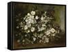 A Branch of Apple Blossoms also Said Cherry Blossoms-Gustave Courbet-Framed Stretched Canvas