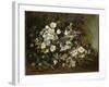 A Branch of Apple Blossoms also Said Cherry Blossoms-Gustave Courbet-Framed Giclee Print