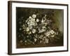 A Branch of Apple Blossoms also Said Cherry Blossoms-Gustave Courbet-Framed Giclee Print