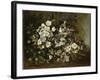 A Branch of Apple Blossoms also Said Cherry Blossoms-Gustave Courbet-Framed Giclee Print