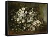 A Branch of Apple Blossoms also Said Cherry Blossoms-Gustave Courbet-Framed Stretched Canvas