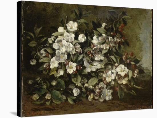 A Branch of Apple Blossoms also Said Cherry Blossoms-Gustave Courbet-Stretched Canvas