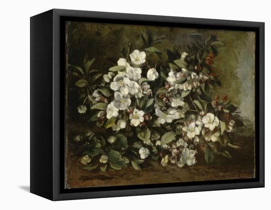 A Branch of Apple Blossoms also Said Cherry Blossoms-Gustave Courbet-Framed Stretched Canvas