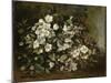 A Branch of Apple Blossoms also Said Cherry Blossoms-Gustave Courbet-Mounted Giclee Print