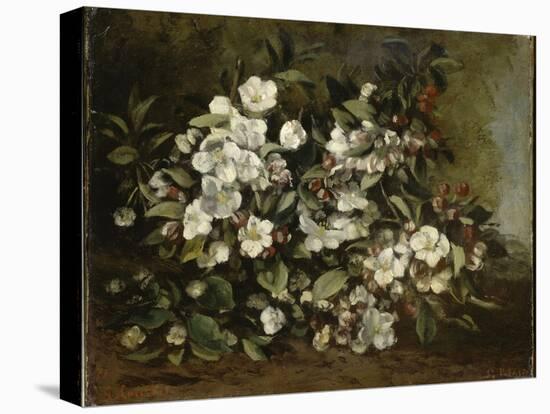 A Branch of Apple Blossoms also Said Cherry Blossoms-Gustave Courbet-Stretched Canvas