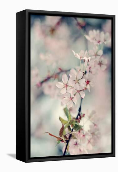 A Branch of Beauty Vertical-Sarah Gardner-Framed Stretched Canvas