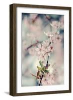 A Branch of Beauty Vertical-Sarah Gardner-Framed Photographic Print