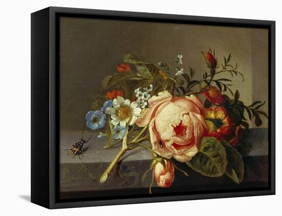 A Branch of Roses with Beetle and Bee, 1741-Rachel Ruysch-Framed Stretched Canvas