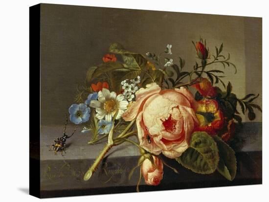 A Branch of Roses with Beetle and Bee, 1741-Rachel Ruysch-Stretched Canvas
