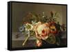 A Branch of Roses with Beetle and Bee, 1741-Rachel Ruysch-Framed Stretched Canvas