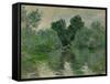 A Branch of the Seine, 1878-Claude Monet-Framed Stretched Canvas