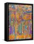 A Brand New Day-Sue Davis-Framed Stretched Canvas