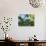 A Brassy-Breasted Tanager Feeding on Berries of a Palm Tree in the Atlantic Rainforest-Alex Saberi-Photographic Print displayed on a wall