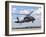 A Brazilian Air Force UH-60L Black Hawk at Natal Air Force Base, Brazil-Stocktrek Images-Framed Photographic Print