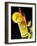 A Brazilian Nights Cocktail-Karin Hessmann-Framed Photographic Print