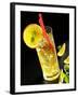 A Brazilian Nights Cocktail-Karin Hessmann-Framed Photographic Print