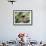 A Brazilian Tanager, Ramphocelus Bresilius, Rests in a Tree in Ubatuba, Brazil-Alex Saberi-Framed Photographic Print displayed on a wall