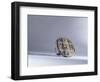 A bread stamp of the kind that was used to mark all loaves sold publicly in Constantinople-null-Framed Giclee Print