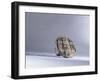 A bread stamp of the kind that was used to mark all loaves sold publicly in Constantinople-null-Framed Giclee Print