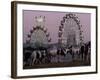 A Breed of Horses Native to the State of Rajasthan, Rajasthan, India, November 7, 2003-Elizabeth Dalziel-Framed Photographic Print