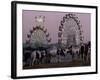 A Breed of Horses Native to the State of Rajasthan, Rajasthan, India, November 7, 2003-Elizabeth Dalziel-Framed Photographic Print