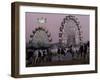 A Breed of Horses Native to the State of Rajasthan, Rajasthan, India, November 7, 2003-Elizabeth Dalziel-Framed Photographic Print