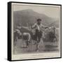 A Brescian Herdsman-null-Framed Stretched Canvas